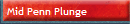 Mid Penn Plunge