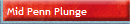Mid Penn Plunge